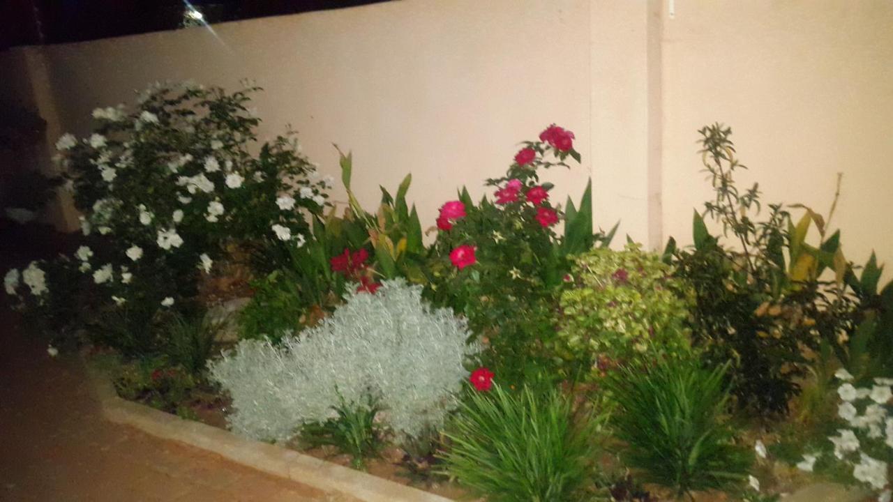 Tintech Bed&Breakfast Francistown Exterior foto